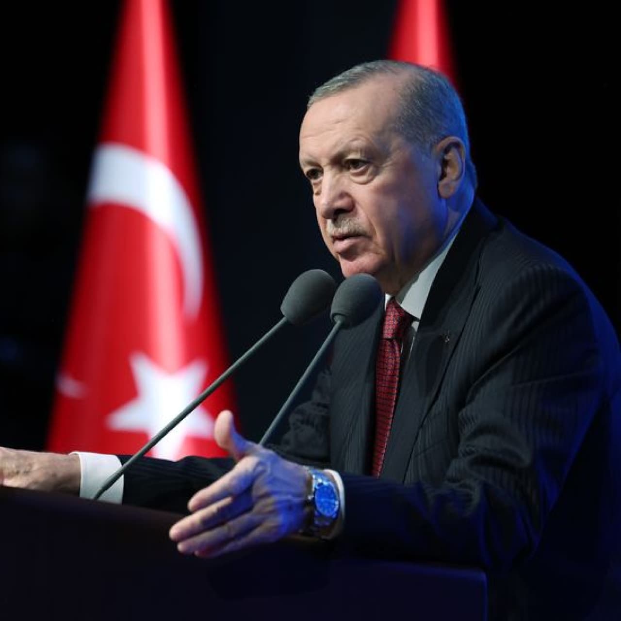 Cumhurbaşkanı Erdoğan, Ali Zeydi ile görüştü