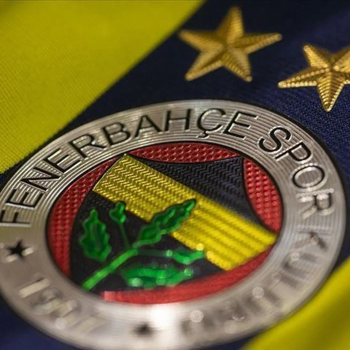 Fenerbahçe başkanı kim oldu?
